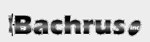 Bachrus_Logo_and_Link